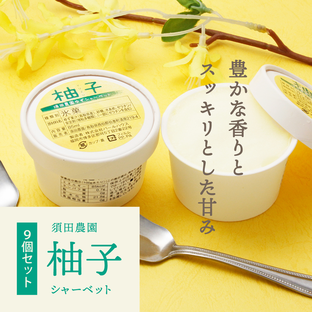 【夏季限定】柚子シャーベット9個セット 伯耆町 須田農園 ゆず アイス お中元 暑中見舞い 残暑見舞い お祝い 内祝い お礼 冷菓子 鳥取 大山 お土産 送料無料