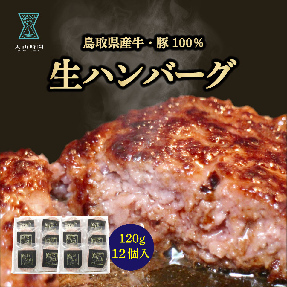 ハンバーグ ギフト 120g 12個入り 生ハンバーグ 鳥取 お取り寄せ お祝い 包装 メッセージ 贈り物 挨拶 お返し 内祝い 母の日 父の日 誕生日 お礼の品 ご褒美 惣菜 冷凍 鳥取大山ハンバーグ 牛肉 豚肉 お土産 送料無料