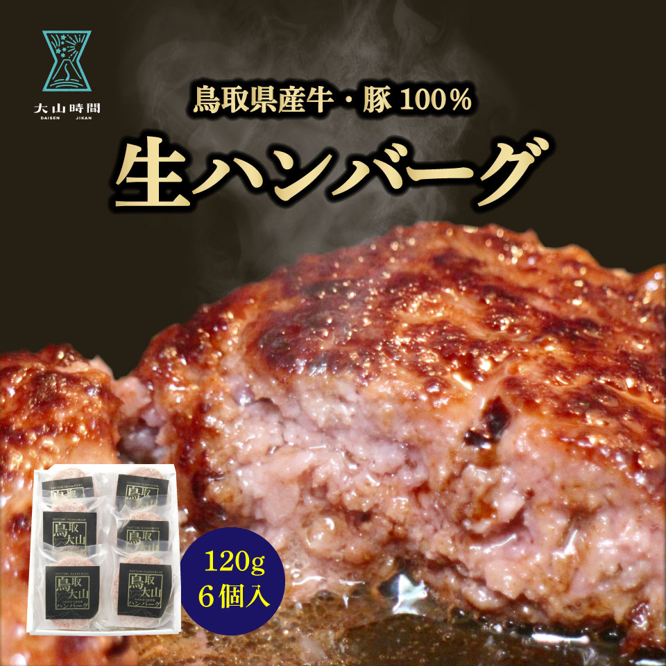 ハンバーグ ギフト 120g 6個入り 生ハンバーグ 鳥取 お取り寄せ お祝い 包装 メッセージ 贈り物 挨拶 お返し 内祝い 母の日 父の日 誕生日 お礼の品 ご褒美 惣菜 冷凍 鳥取大山ハンバーグ 牛肉 豚肉 お土産 送料無料